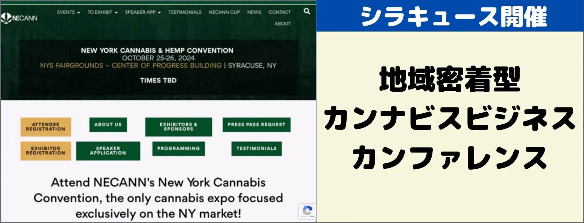 NECANN New York Cannabis & Hemp Convention 2024 イベントグローブ